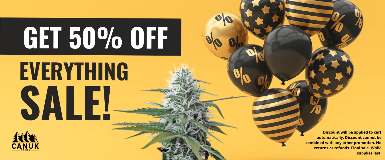 50% Off EVERYTHING Sale!